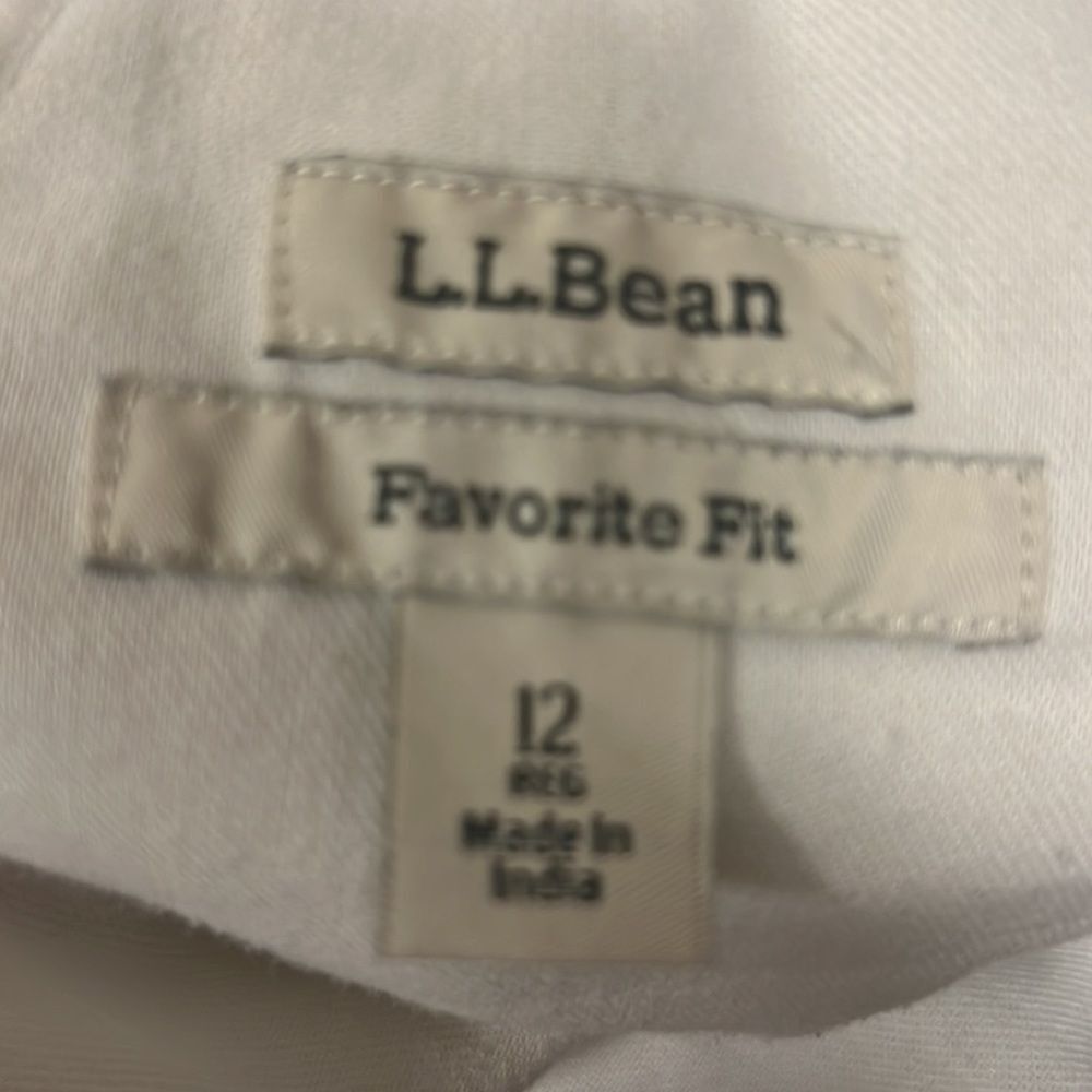L.L. Bean Blue and White Striped Women's Shorts - Picture 5 of 6